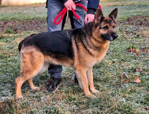 FEDERICA PASTORE TEDESCO Foto 4